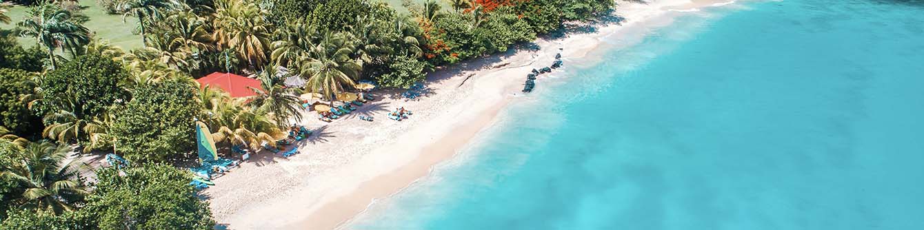 Global Residency and Citizenship by Investment Report: Grenada (CBI)