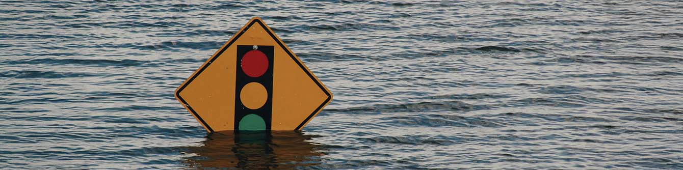 Climate Change and Migration: From Displacement to Resilience