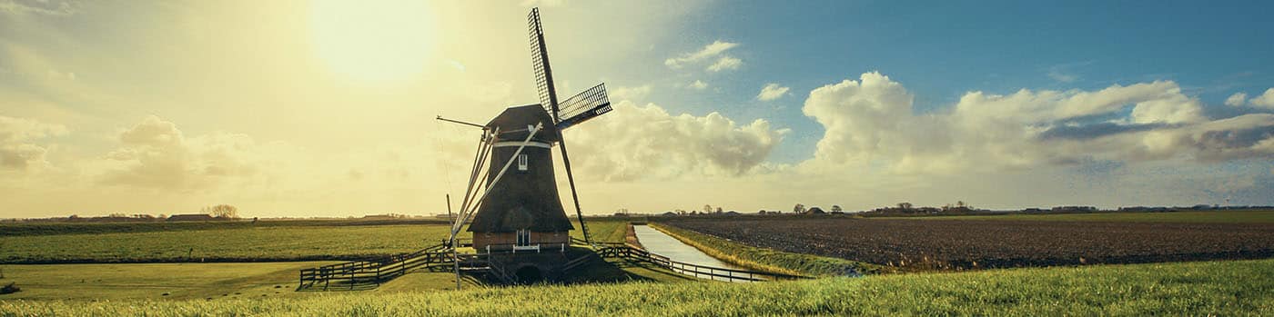 The Motives Behind International Migration after Retirement: The Dutch Case