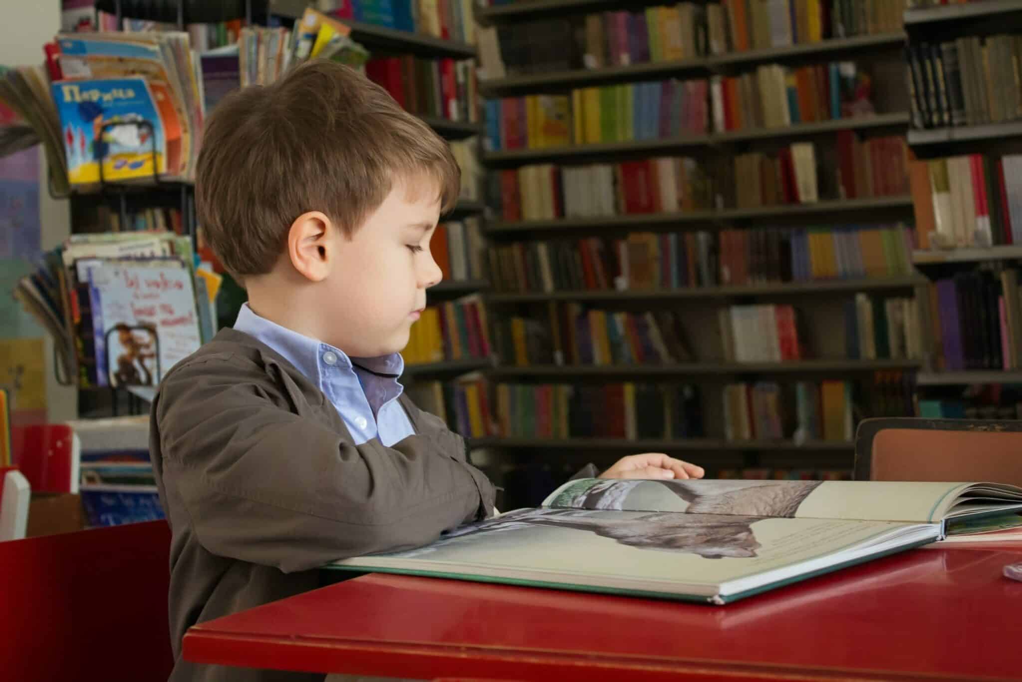 A primary school student in the library reading a book | GCS