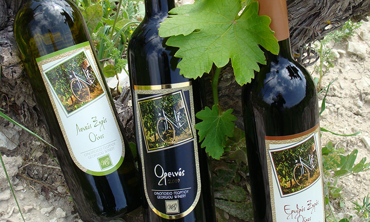 Cyprus Wine
