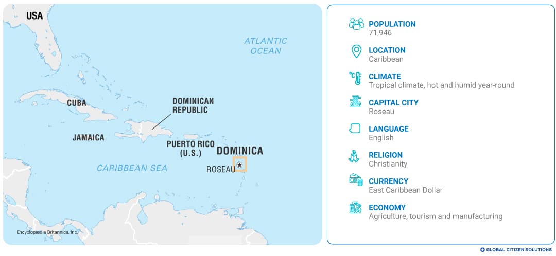 dominica economic citizenship programme