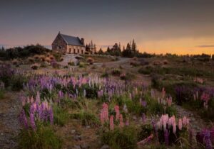 Isolated cottage in New Zealand countryside - where to retire as an expat