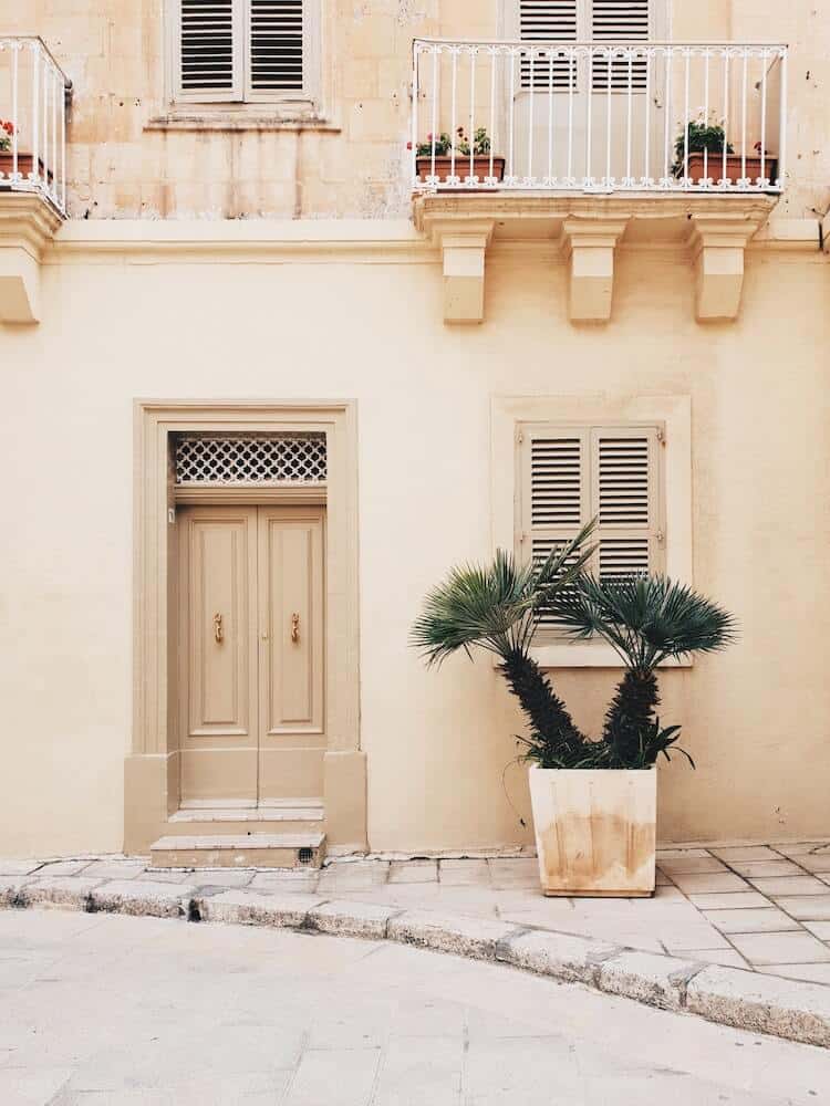 A front door with a big green plant in the front. 