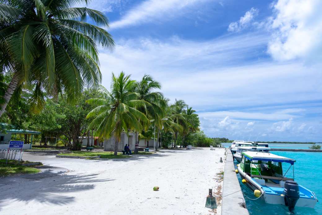 Immigrant Investor Program - st lucia
