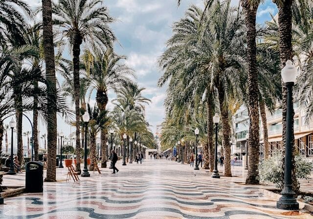 Palm tree-lined promenade with a wavy patterned walkway in Alicante, Spain.