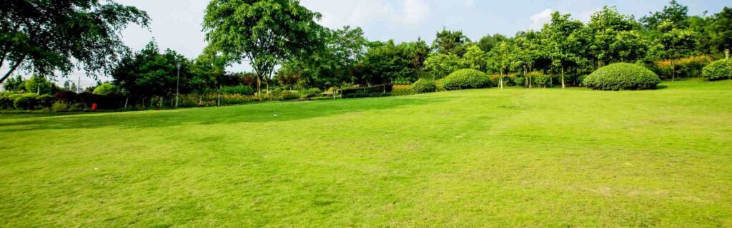 wide view of land plot for sale in vanuatu