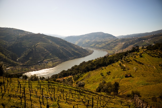 The Douro Valley in Portugal