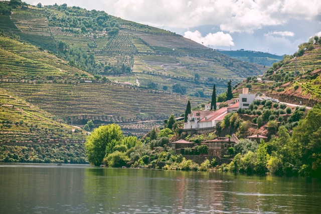 Douro Valley Quinta de la Rosa in Pinhão, Portugal