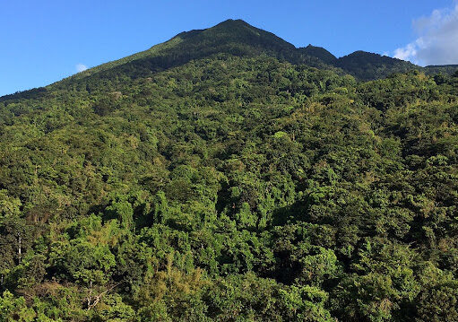 national parks in saint kitts and nevis