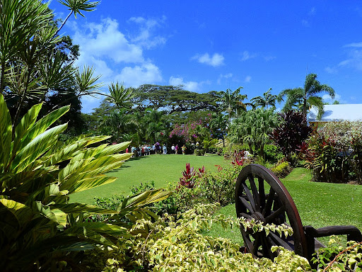 Romney-Manor-St-Kitts