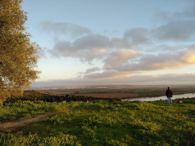 Santarem fields