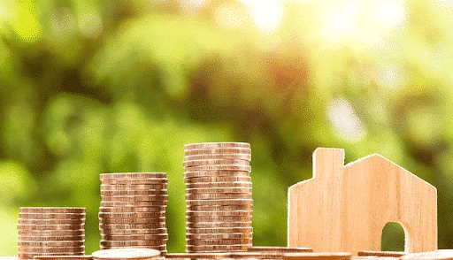 Row of coins next to a small wooden house with lush green trees in the background - getting multiple citizenships