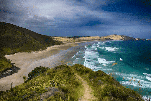New-Zealand
