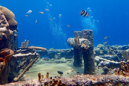 Tugboat-Snorkeling-Trip