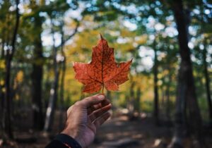 Canada: how to get a second passport