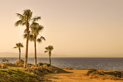 Move-to-Cyprus