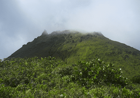 upward view of Mount Soufrière at Sulphur Springs Park