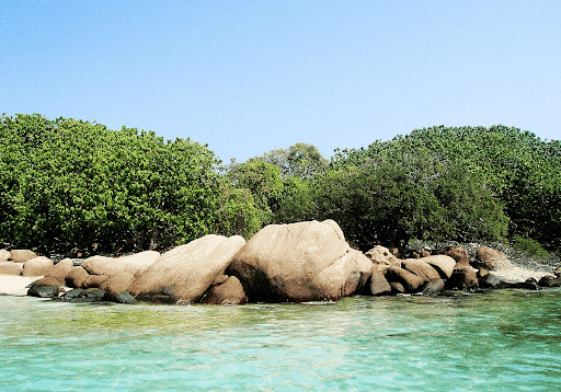 view of large rock formations at a beach in st lucia's Pigeon Island National Park