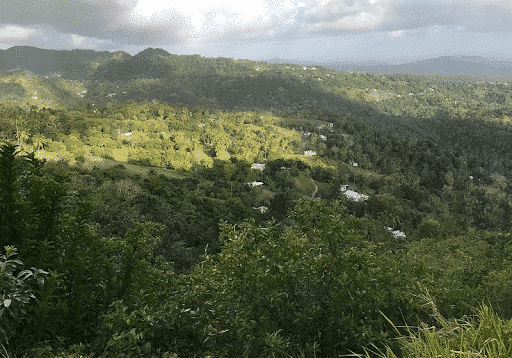 a view of Tet Paul Nature Trail and buildings in the distance St Lucia