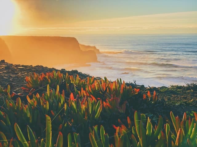 Portugal-Golden-Visa-for-Australians-png