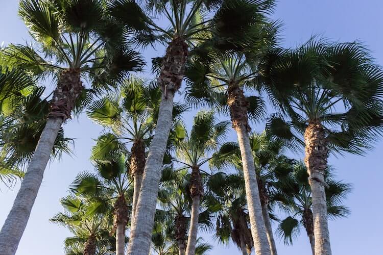 buying property in Europe Limassol