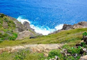 view of the ocean and waves crashing on rocks from Shirley Heights Lookout