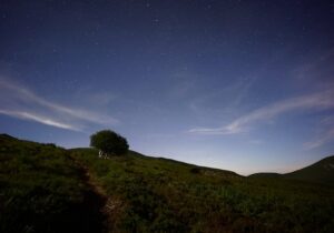 nightime sky view from the Antigua Dow’s Hill Interpretation Centre