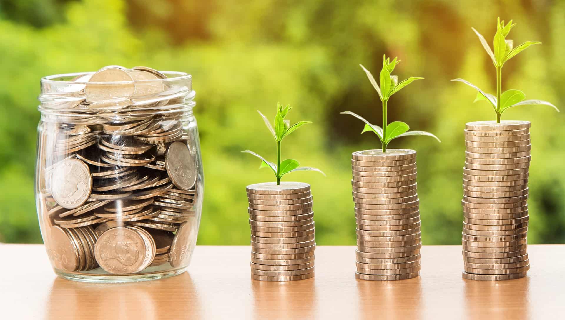 Business opportunities and foreign investment