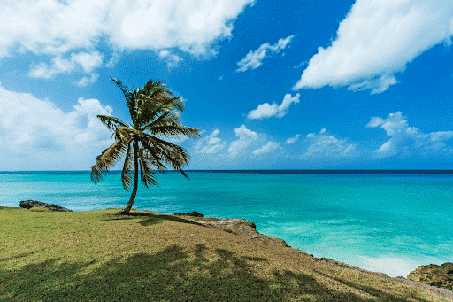 Barbados tourist wealth