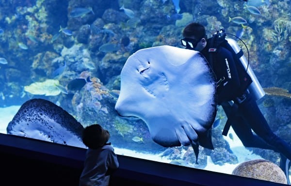 Protaras Ocean Aquarium