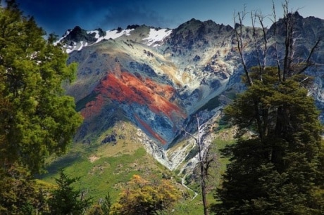 Argentina-expats
