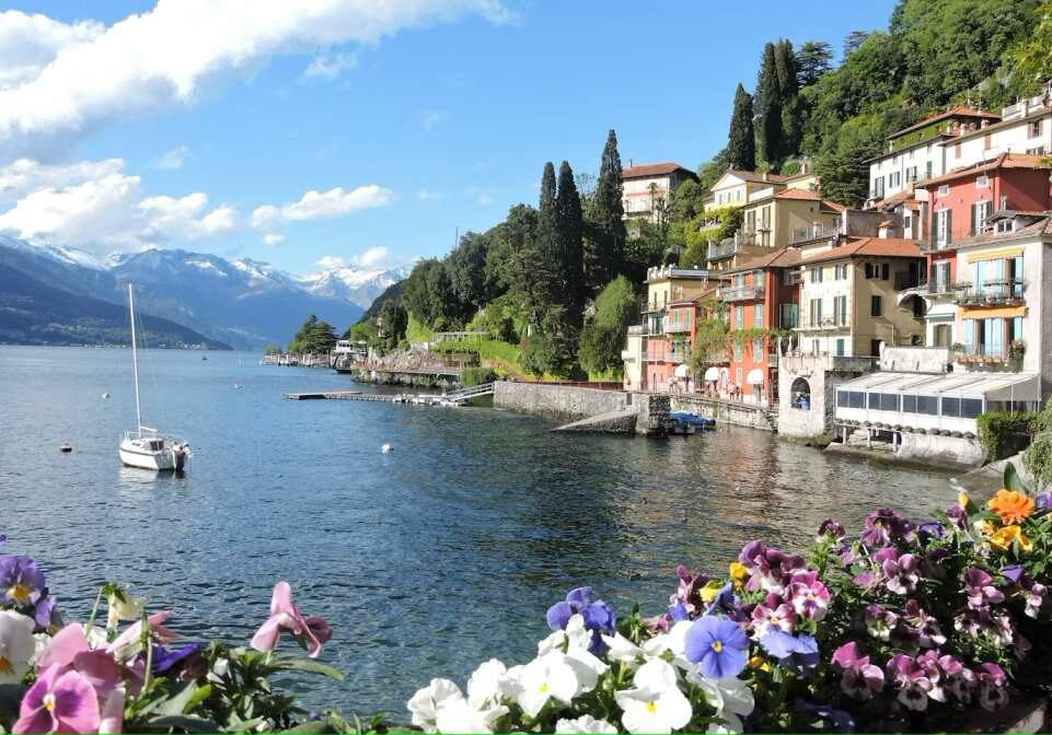 Houses overlooking the sea with flowers in the forefront. 