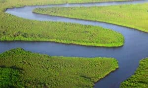 Gambia river, gambia passport