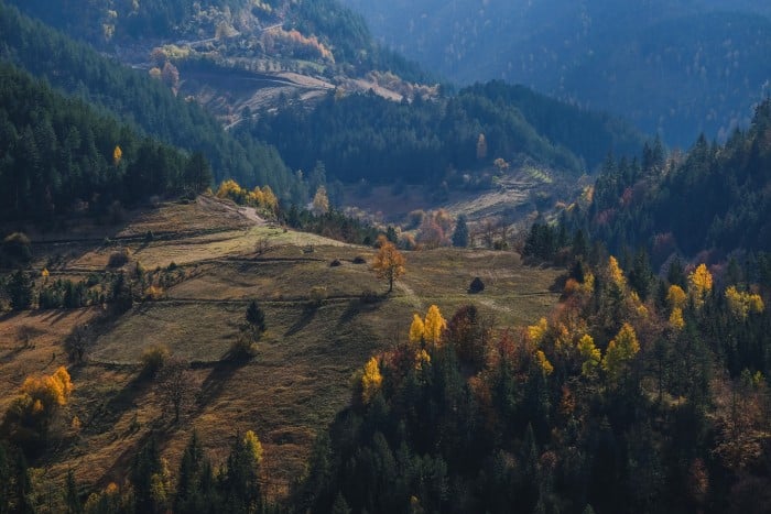 Benefits of Serbian Passport
