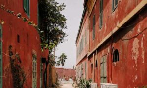 Image of two buildings in the Gambia facing one another in a rusty color on a tree-lined treet, rental return, vacation use