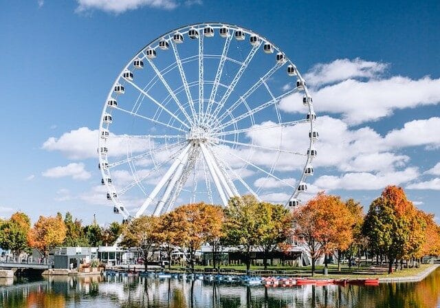 Ferris wheel near a waterfront with autumn foliage
