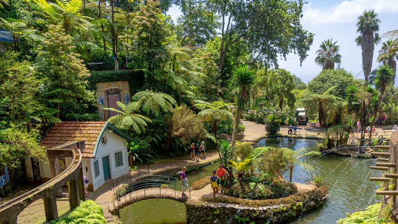 Madeira Golden Visa A Comprehensive Investment Guide for 2023