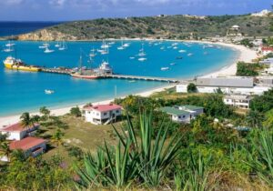 Far off view with greenery in front with jetty in the background in Anguilla - British Overseas Territory Caribbean island residency