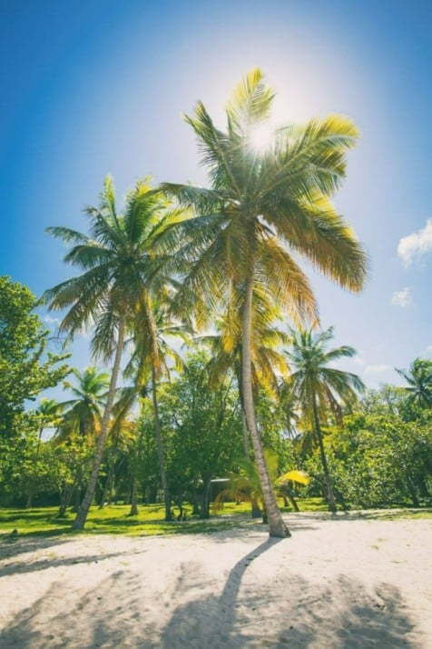 caribbean-property-real-estate-investment-caribbean-region