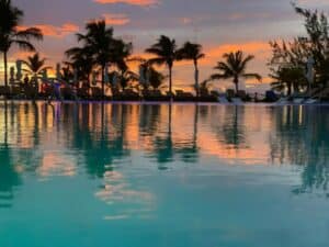 View of palm trees on Turks and Caicos Island in front of bright blue ocean water - tax-free countries