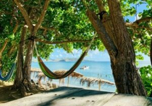 st-kitts-and-nevis-sustainable-growth-fund