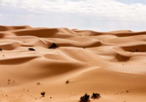 View of the desert in the Western Sahara - low-tax country for expats