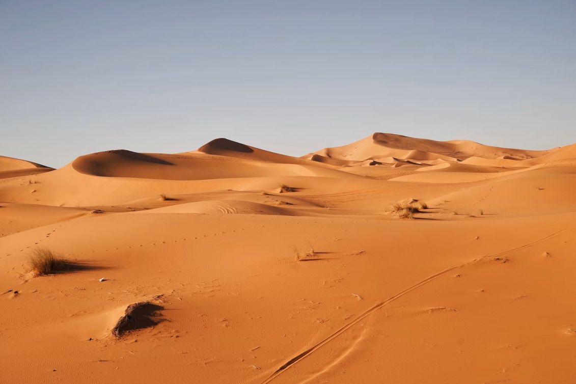 western sahara - disputed territory