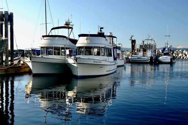 yacht harbor in dominica