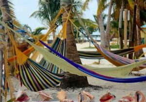 beach hammocks in belize
