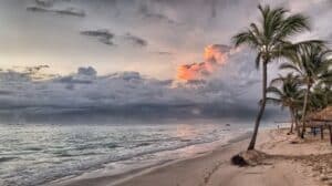 sunset with beach and palm trees in nauru