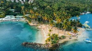 Caribbean-Immigration-Service-Helpful-Guide