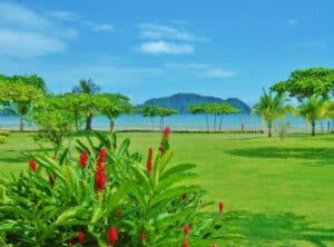 Green lush gardens in Costa Rica looking out over an island - digital nomad visa country
