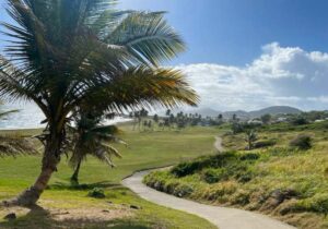 Green park with palm trees on a clear day - St Kitts and Nevis Citizenship by Investment program